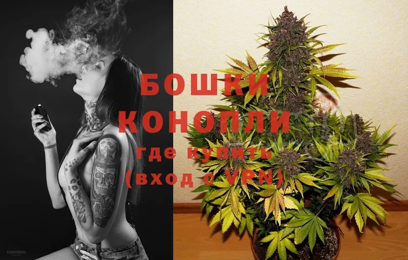 Каннабис OG Kush  Абаза 